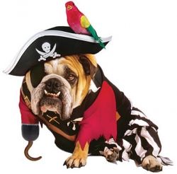 Pirate Costume Ideas for Dogs