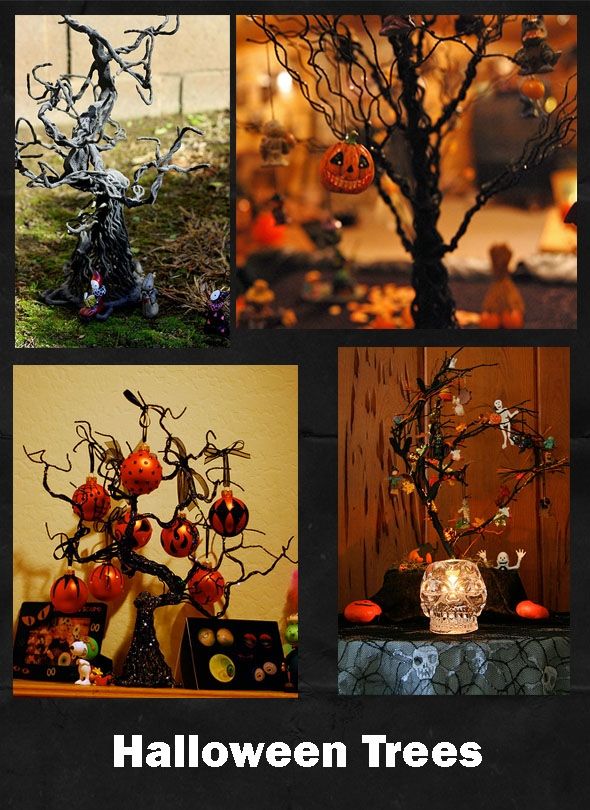 halloween trees picture