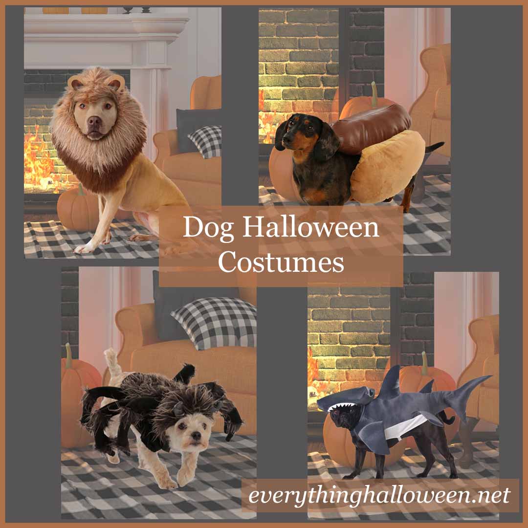 Halloween costumes for your dog and all his friends