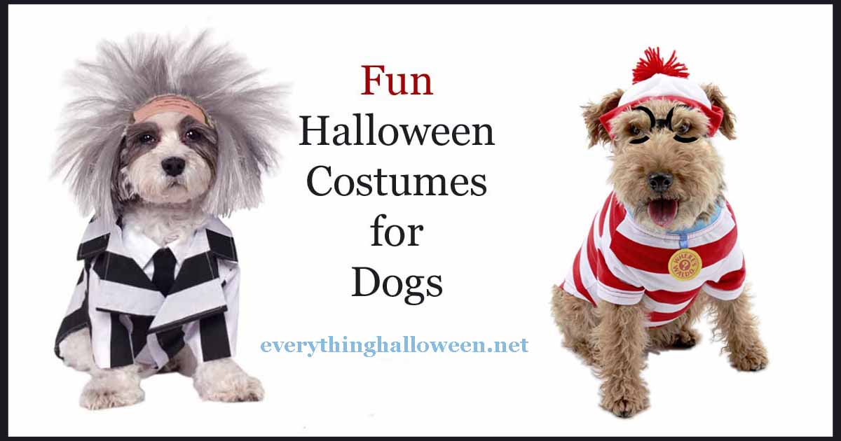fun halloween costumes for dogs