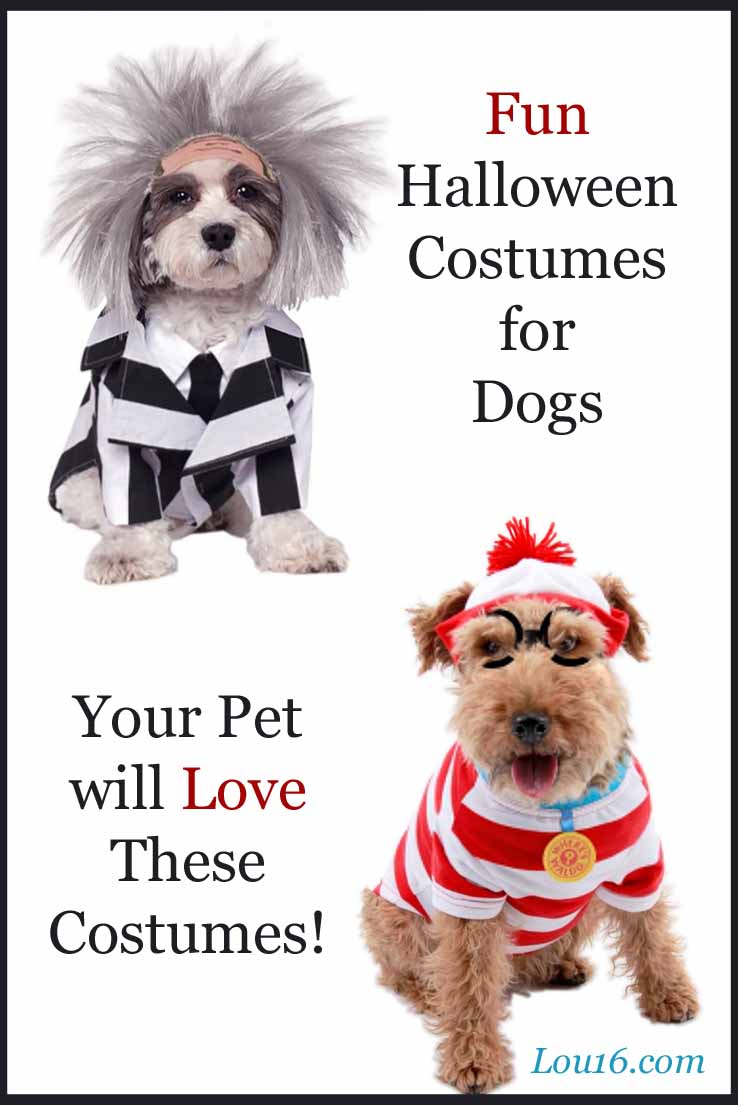 Fun Halloween Costumes for  your dog